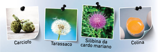 4 INGREDIENTI ESSENZIALI PER IL FEGATO