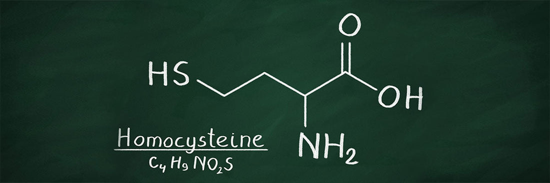 HAI MAI SENTITO DELL'OMOCISTEINA?