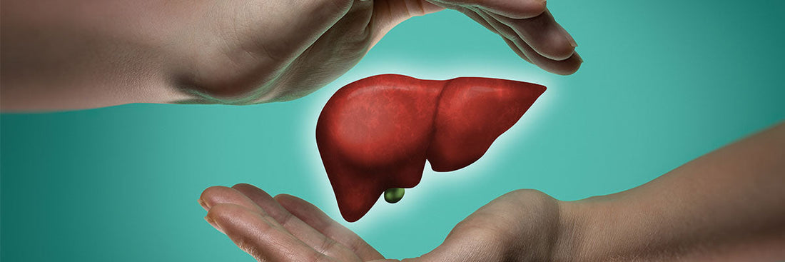 SAPEVI LE CAUSE PRINCIPALI DEL FEGATO GRASSO ?