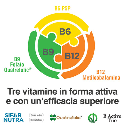 B Active Trio