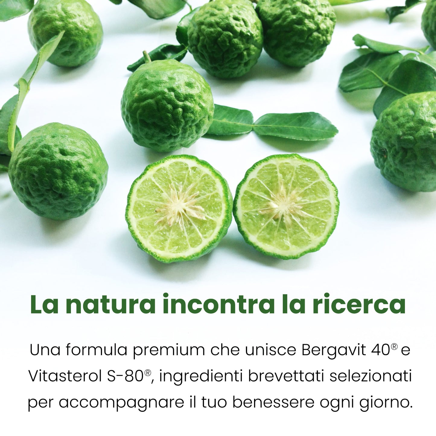 Bergacol